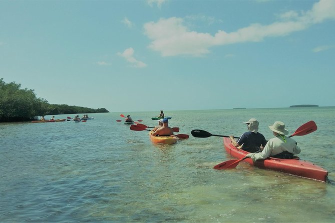 Half-Day Trip from Key West with Kayaking, Snorkeling & Sunset - Kayaking through mangrove channels