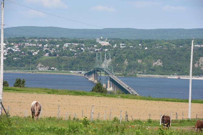 Half-Day Trip to Montmorency Falls and Ste-Anne-de-Beaupré from Quebec city - Is $70.53 good value?