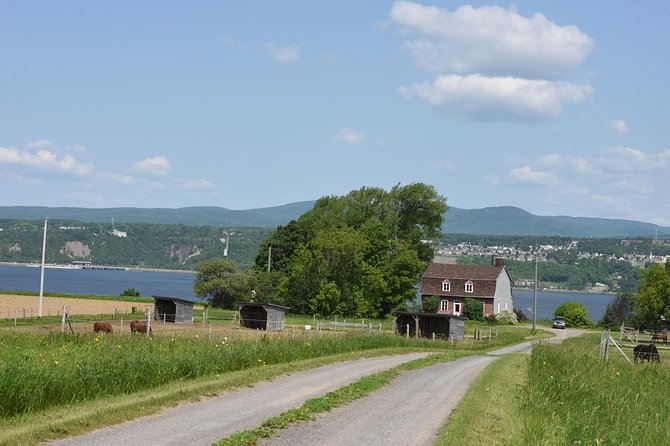 Half-Day Trip to Montmorency Falls and Ste-Anne-de-Beaupré from Quebec city - Who should book this Quebec City outing?