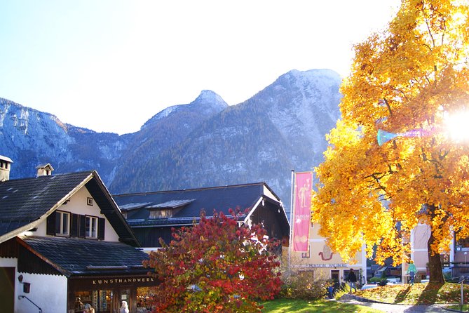 Hallstatt Guided Day Trip from Vienna With Boat Ride Option - Why Hallstatt is worth the long ride from Vienna