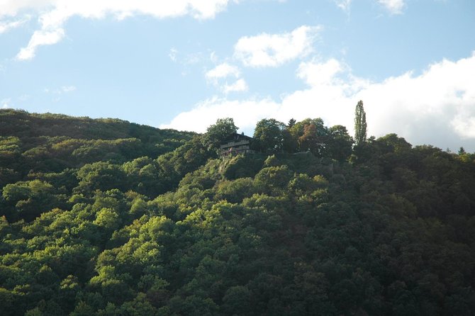 Heidelberg and Rhine Valley Day Trip With Wine Tasting and Dinner from Frankfurt - Who will enjoy this tour most
