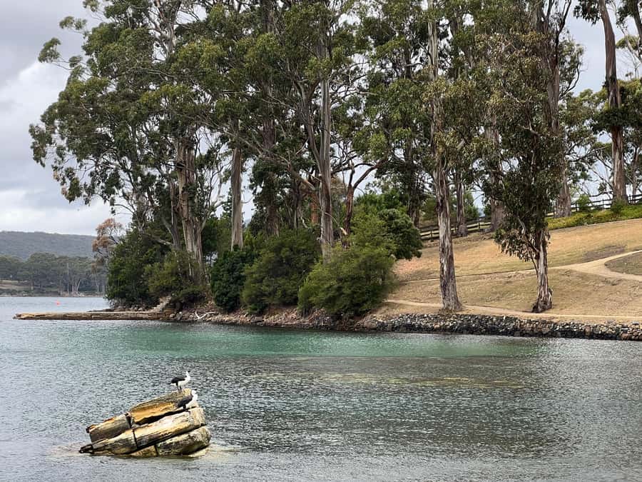 Hobart: Port Arthur & Tasman Park Full-Day Trip with Cruise - Chocolate on the return to Hobart