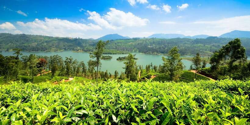 Kandy: Nuwara Eliya Day Trip - The final Ramboda viewpoint and hotel drop-off