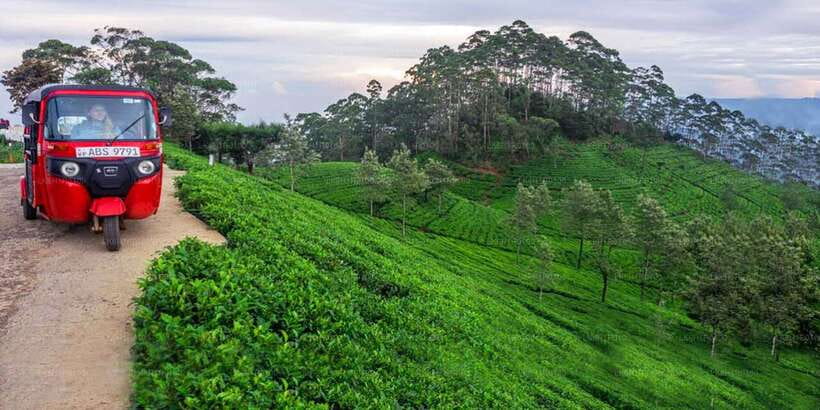 Kandy: Nuwara Eliya Day Trip - Why this Kandy to Nuwara Eliya route works