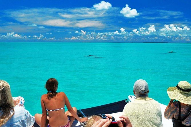 Key West Day Trip from Miami with Activities - Planning your own Key West afternoon