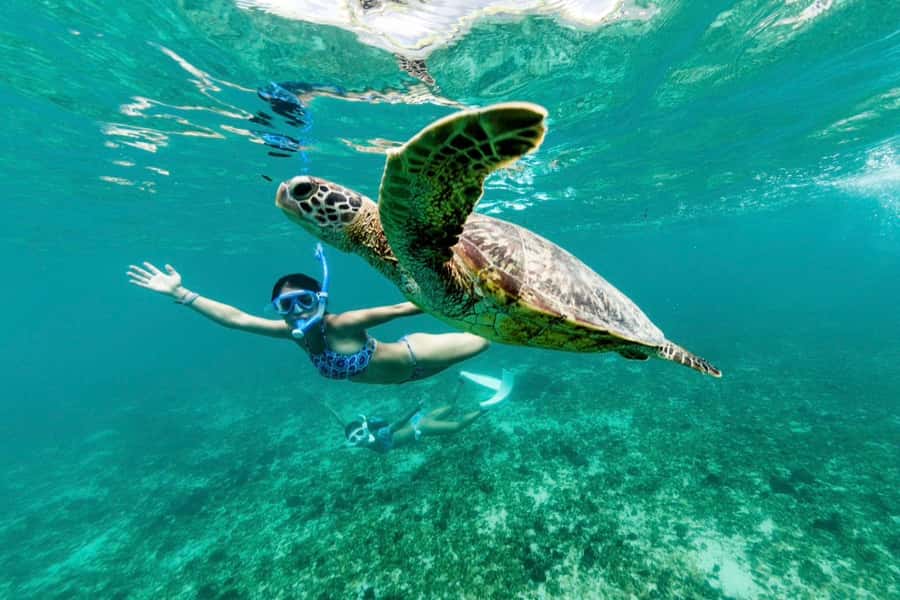 Khao Lak: Similan Islands Snorkeling Day Trip w/Meals - What the crew does well