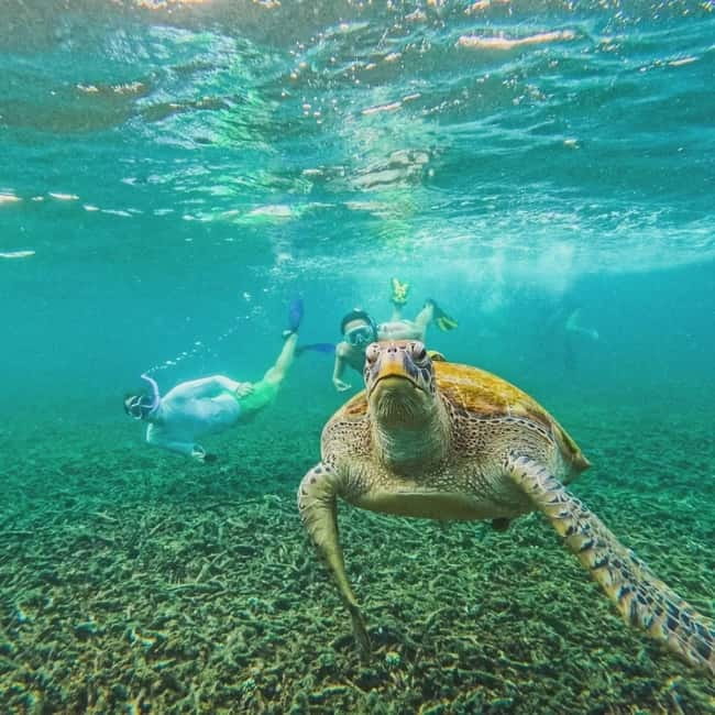 Ko Tao: Tao-Nangyuan Snorkeling Day Trip with Meals & Sunset - Thai buffet lunch with a view