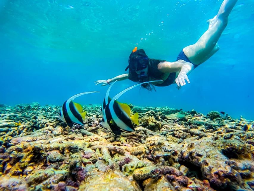 Ko Tao: Tao-Nangyuan Snorkeling Day Trip with Meals & Sunset - Mango Bay and Ao Muong’s postcard setting