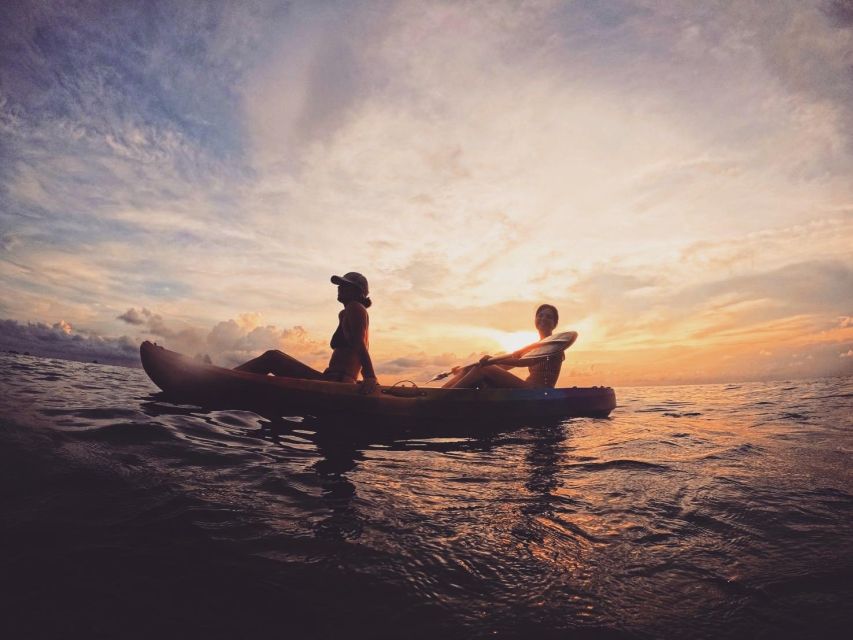 Ko Tao: Tao-Nangyuan Snorkeling Day Trip with Meals & Sunset - Shark Bay and the wildlife highlight