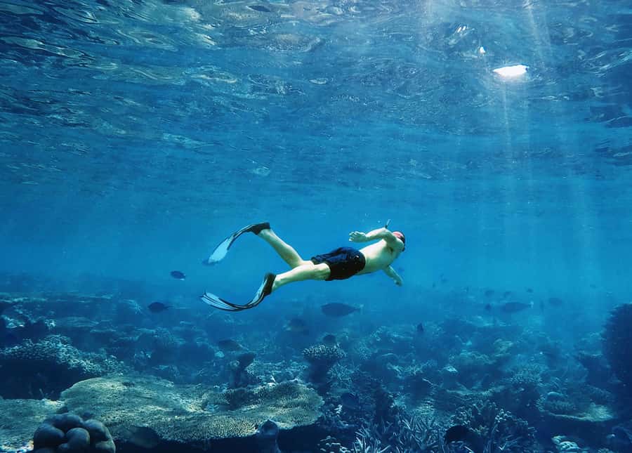 Koh Samui: Pink Dolphin, Pig Island, and Snorkeling Day Trip - Thai lunch beside Khanom Beach