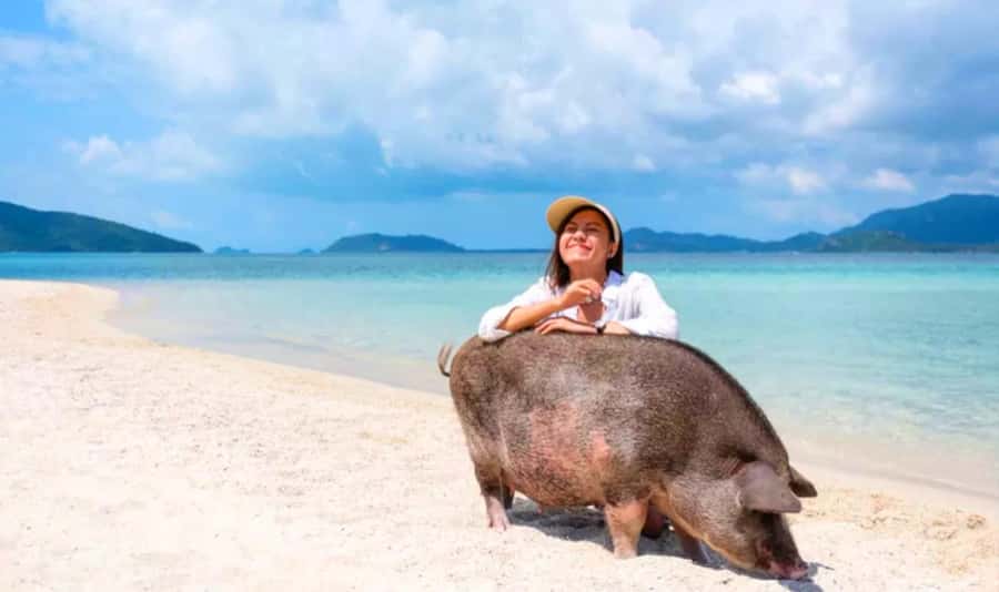 Koh Samui: Pink Dolphin, Pig Island, and Snorkeling Day Trip - The boat ride from Koh Samui