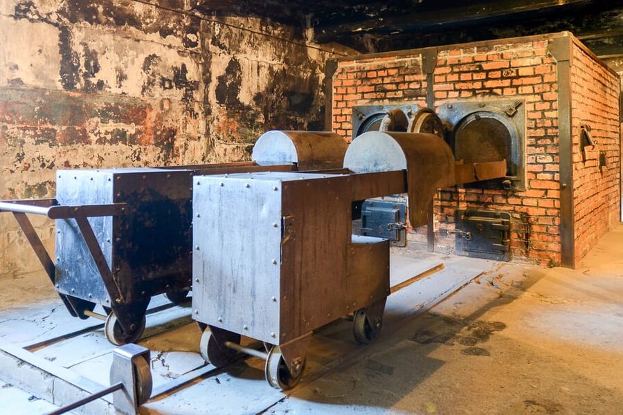 Krakow: Auschwitz-Birkenau Day Trip with Tour Leader - Who will appreciate this format most?
