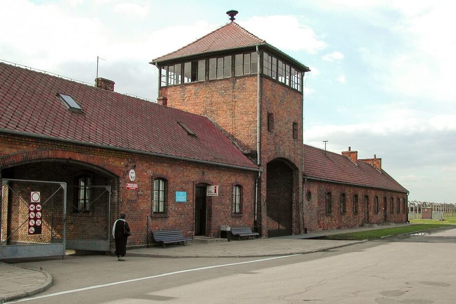 Krakow: Auschwitz-Birkenau Day Trip with Tour Leader - What the tour leader does, and what the leader does not do