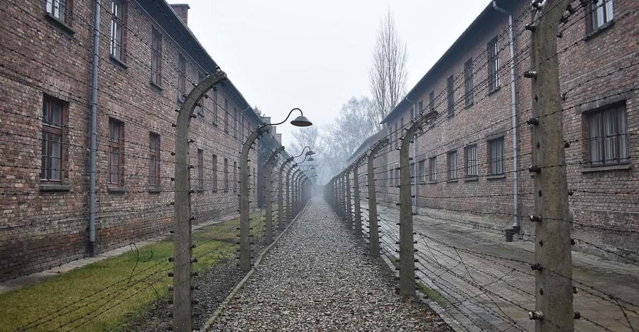 Krakow: Auschwitz-Birkenau Day Trip with Tour Leader - Queues, changing times, and the real length of the day