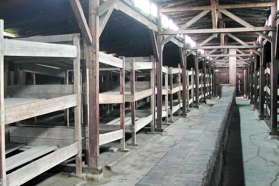 Krakow: Auschwitz-Birkenau Day Trip with Tour Leader - From Krakow to Oświęcim by bus or minivan