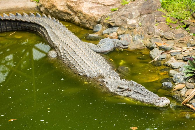 Kuranda Scenic Railway Day Trip from Cairns - Who will enjoy this day most