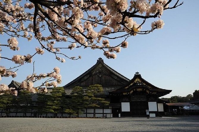 Kyoto and Nara Day Trip from Kyoto - Kasuga Grand Shrine and its lanterns
