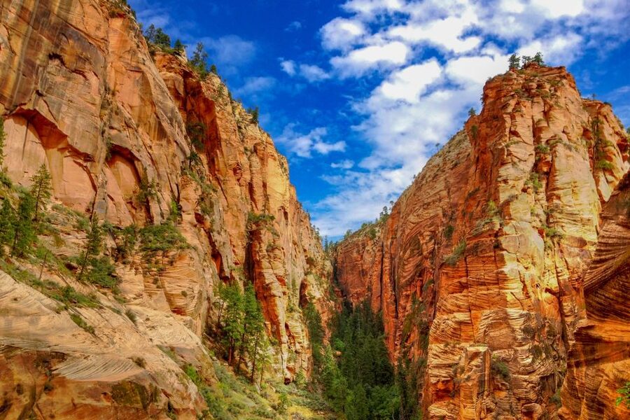 Las Vegas: Grand Canyon, Zion and Monument Valley 3-Day Tour - Transport, meals, and the true cost