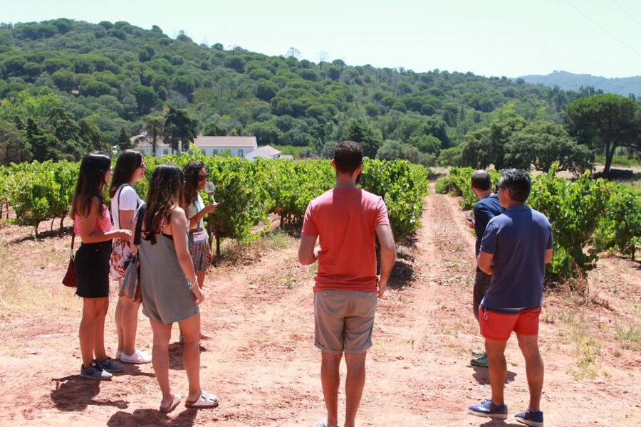 Lisbon: Arrábida and Sesimbra Day Trip with Wine - Why this is one of Lisbon’s better full-day escapes