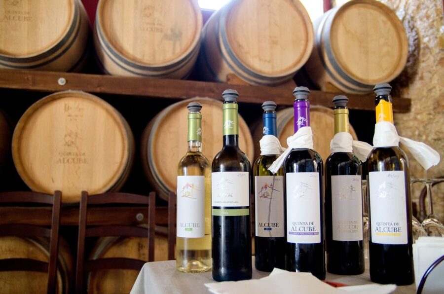 Lisbon: Arrábida and Sesimbra Day Trip with Wine - Sesimbra for seafood, beaches, and free time