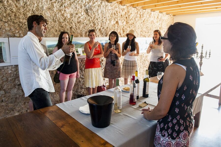 Lisbon: Arrábida and Sesimbra Day Trip with Wine - The guide can make or break the day