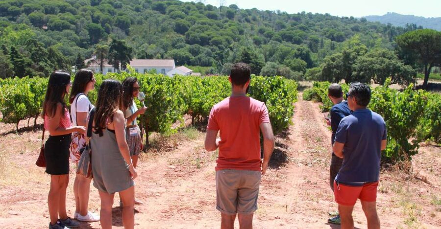 Lisbon: Arrábida and Sesimbra Day Trip with Wine - Palmela and its hilltop castle views