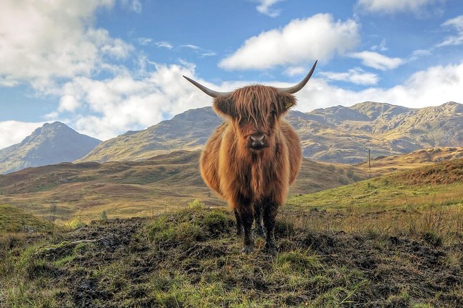 Loch Ness, Glencoe & the Highlands Guided Day Tour from Edinburgh - Choosing your Loch Ness hour