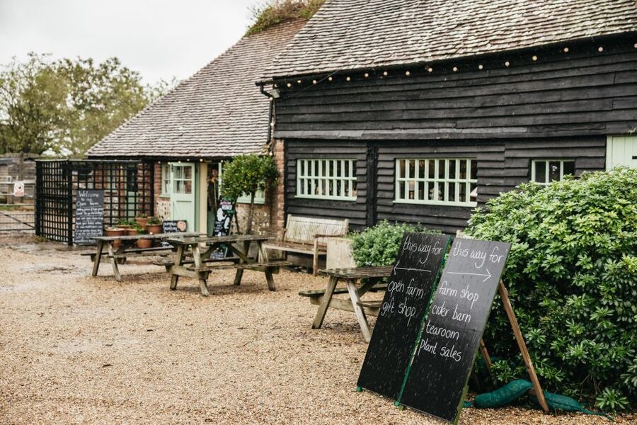 London: South Downs White Cliffs Day Trip with Train Tickets - Guides make the difference on a crowded route