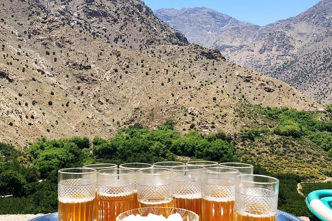Luxury private day trip - Atlas Mountains, Agafay Desert & camels - Who will enjoy this day most