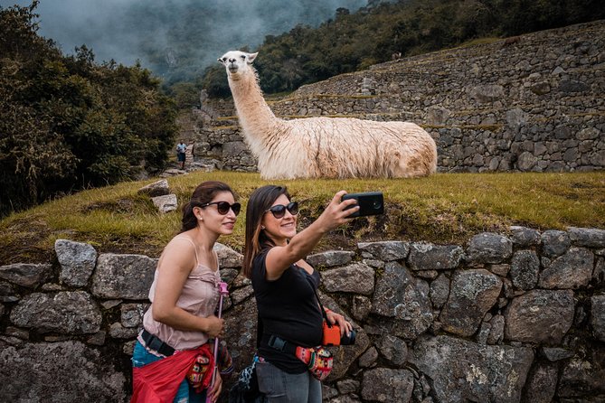 Machu Picchu Day Trip from Cusco - The scenic train to Aguas Calientes