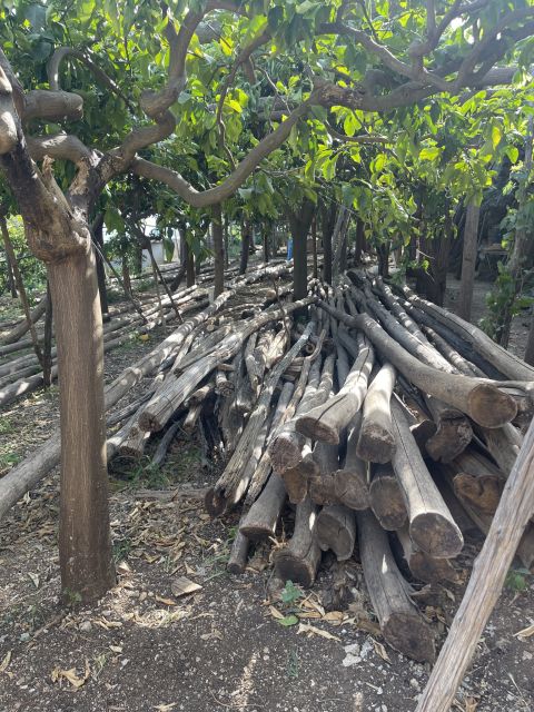 Maiori: Amalfi Coast Path of Lemons Day Trip with Tastings - What the guides add to the walk