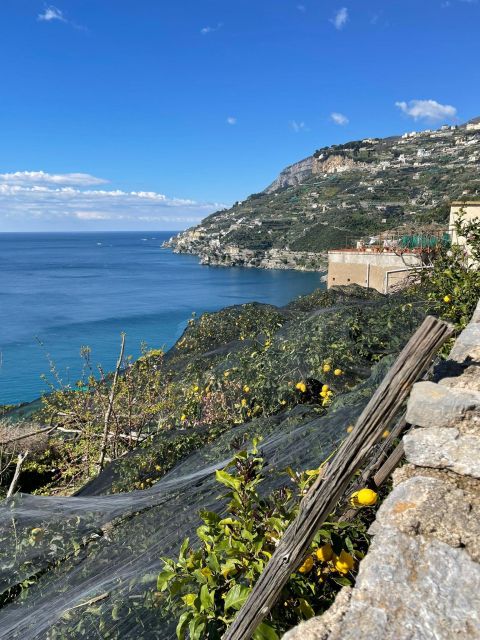 Maiori: Amalfi Coast Path of Lemons Day Trip with Tastings - Why this walk shows you a different Amalfi Coast
