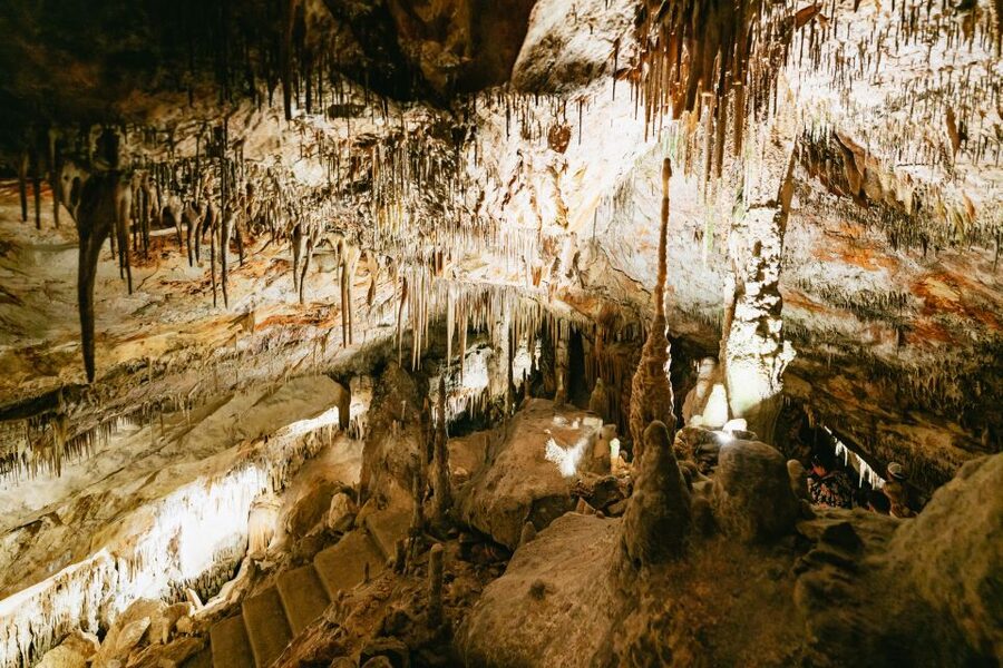 Mallorca: Caves of Drach Day Trip & Optional Caves of Hams - Who will enjoy this most
