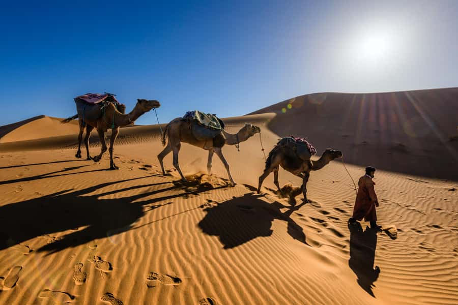Marrakech: 3-Day Trip to Fez with Sandboarding & Camel Ride - Food, shopping stops, and extra costs