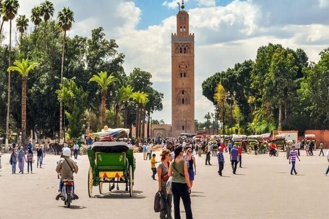 Marrakech Day Trip with Camel Ride from Casablanca - The real shape of this Casablanca to Marrakech day