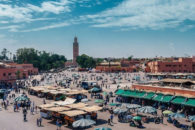 Marrakech Day Trip with Camel Ride from Casablanca - The Secret Garden offers a quiet pause