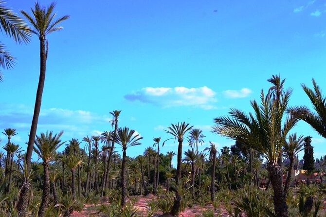 Marrakech Day Trip with Camel Ride from Casablanca - Bab Agnaou and the Mellah add layers to the walk
