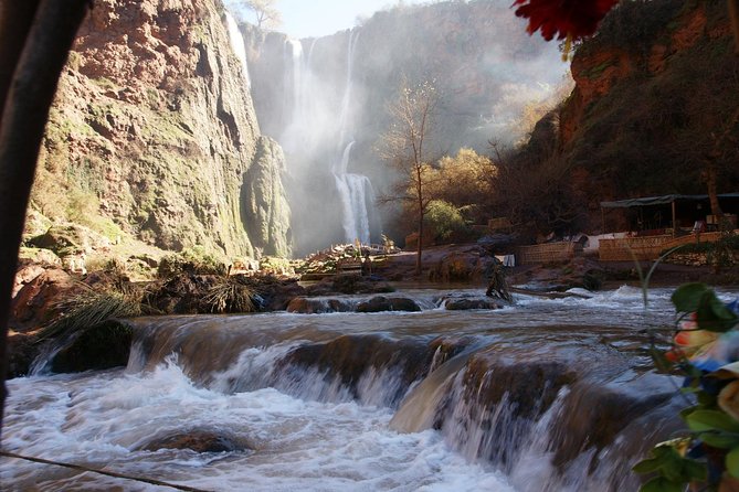 Marrakech: Ouzoud Waterfalls Guided Day Trip with Boat Ride - Barbary macaques among the olive trees