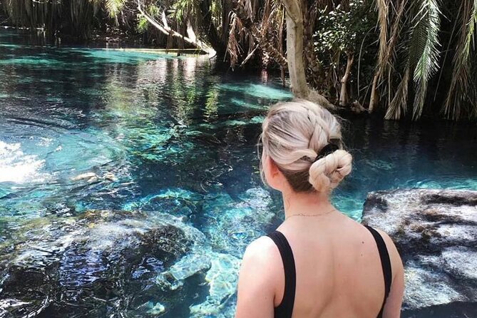 Materuni Waterfalls & Chemka Hotsprings Day Trip - Materuni Waterfall: the dramatic first stop