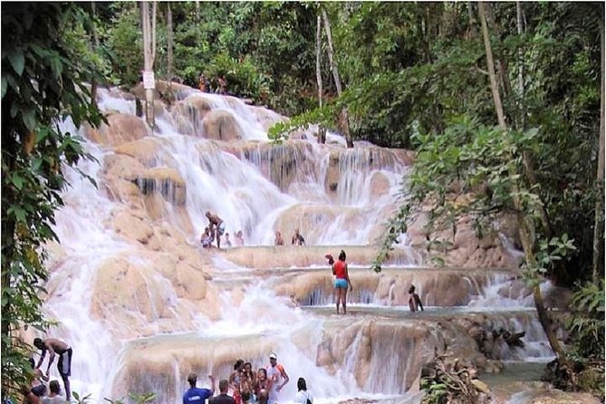 Montego Bay to Dunn's River Falls Half-Day Trip - The real attraction is walking up the waterfall