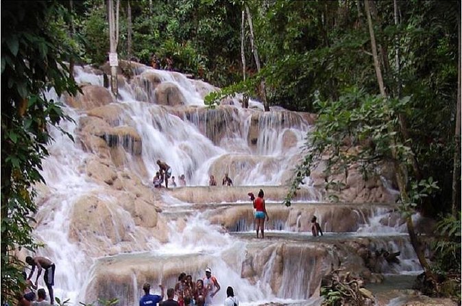 Montego Bay to Dunn's River Falls Half-Day Trip - Who should book this waterfall trip?