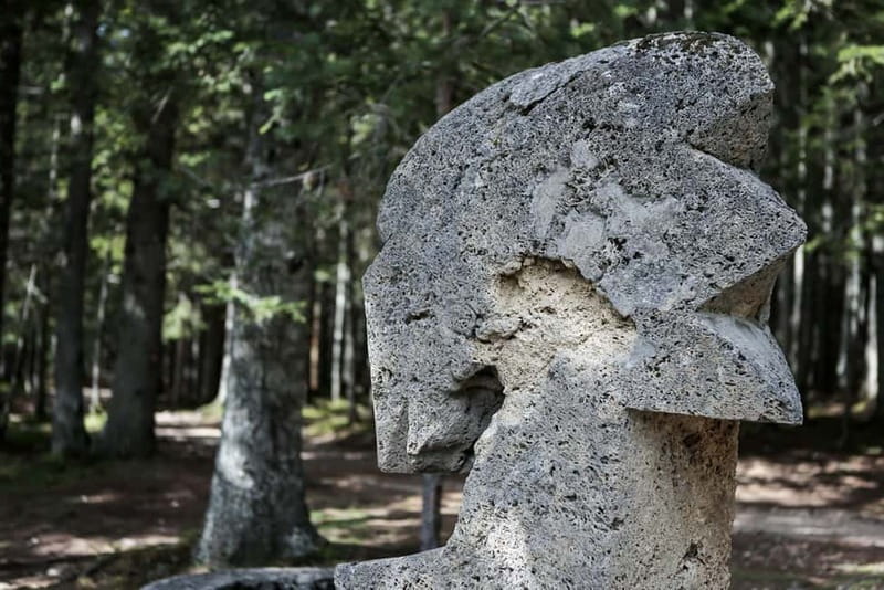 Montenegro: Durmitor, Tara & Ostrog Monastery Day Trip - How much the $99 price really covers