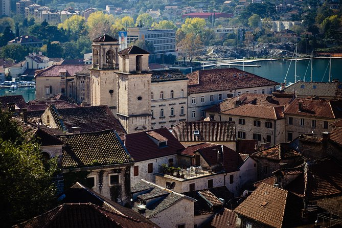 Montenegro Full-Day Trip from Dubrovnik with Optional Boat Trip - Who should book this trip