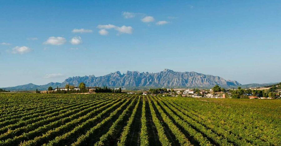 Montserrat & Cava Wineries Day Trip from Barcelona w/ Pickup - A scenic drive into Penedès