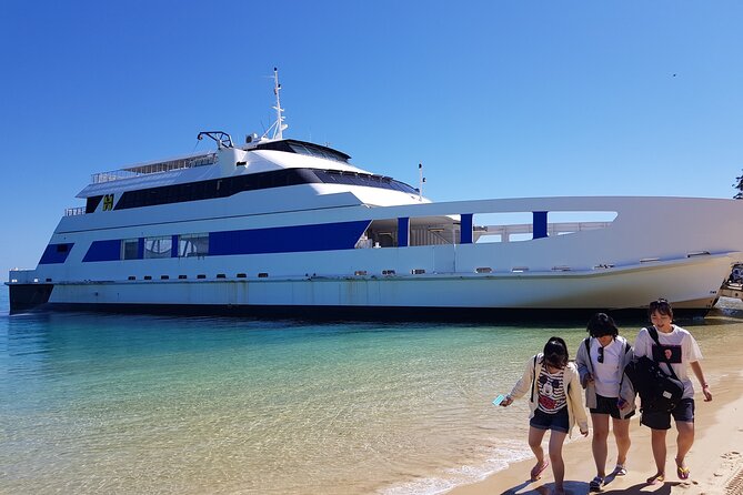 Moreton Island Day Trip (Kayak, Snorkel & Sandboard) frm Brisbane or Gold Coast - Kayaking above the reef