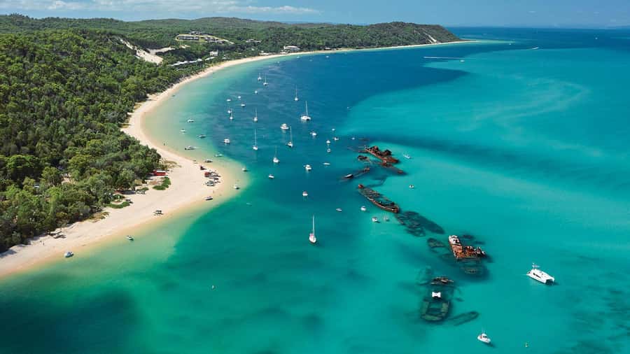 Moreton Island: Tangalooma Day Trip with ATV Quad Bike Tour - Wildlife talks and the 3:15pm dolphin presentation