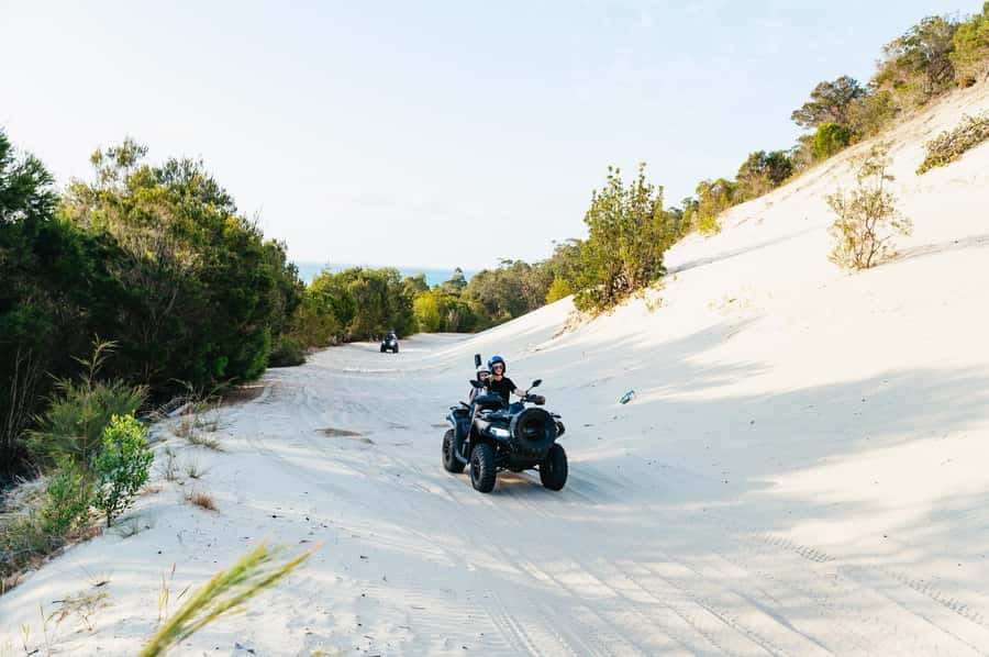 Moreton Island: Tangalooma Day Trip with ATV Quad Bike Tour - Is $119 good value?