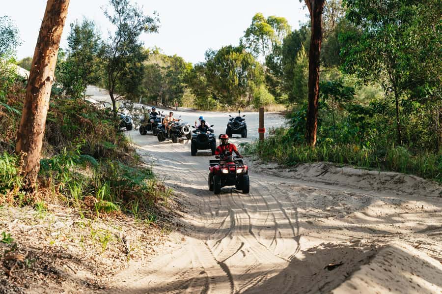 Moreton Island: Tangalooma Day Trip with ATV Quad Bike Tour - Who should book this Moreton Island day trip?