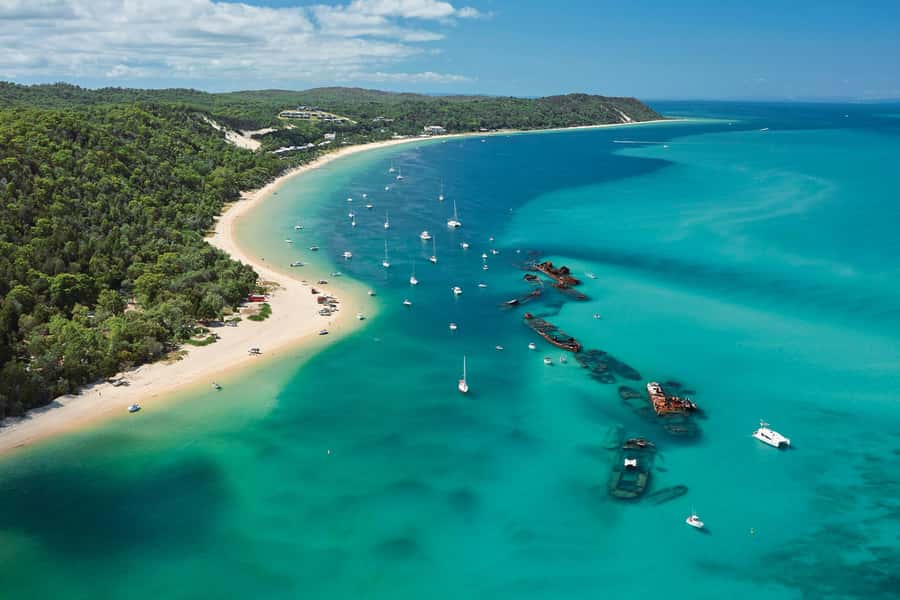 Moreton Island: Tangalooma Day Trip with Desert Safari - From Holt Street Wharf to Moreton Island