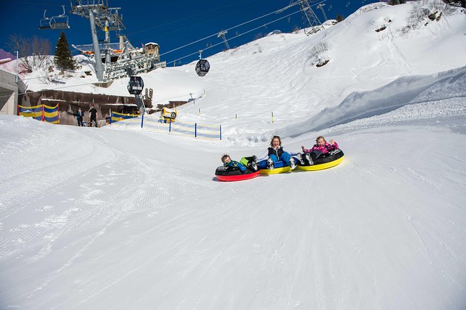 Mount Titlis Half-Day Trip from Lucerne - Cliff Walk and Ice Flyer